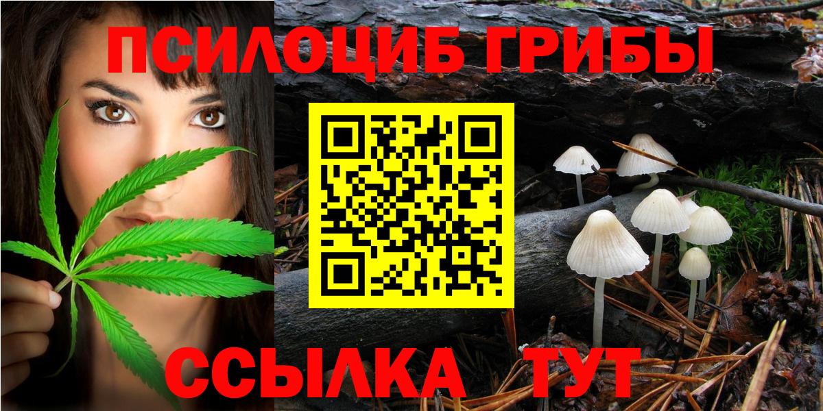 Псилоцибиновые грибы GOLDEN TEACHER Гусиноозёрск